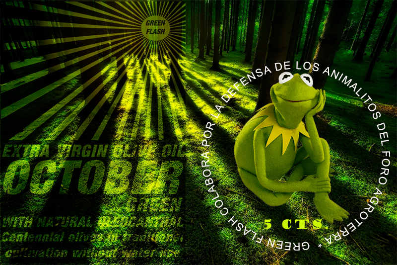 tachuela-02.jpg