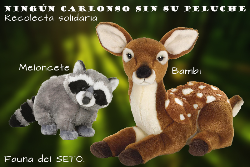 carlonso.jpg