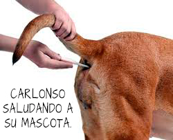 CARLONSO-Y-SU-MASCOTA.jpg