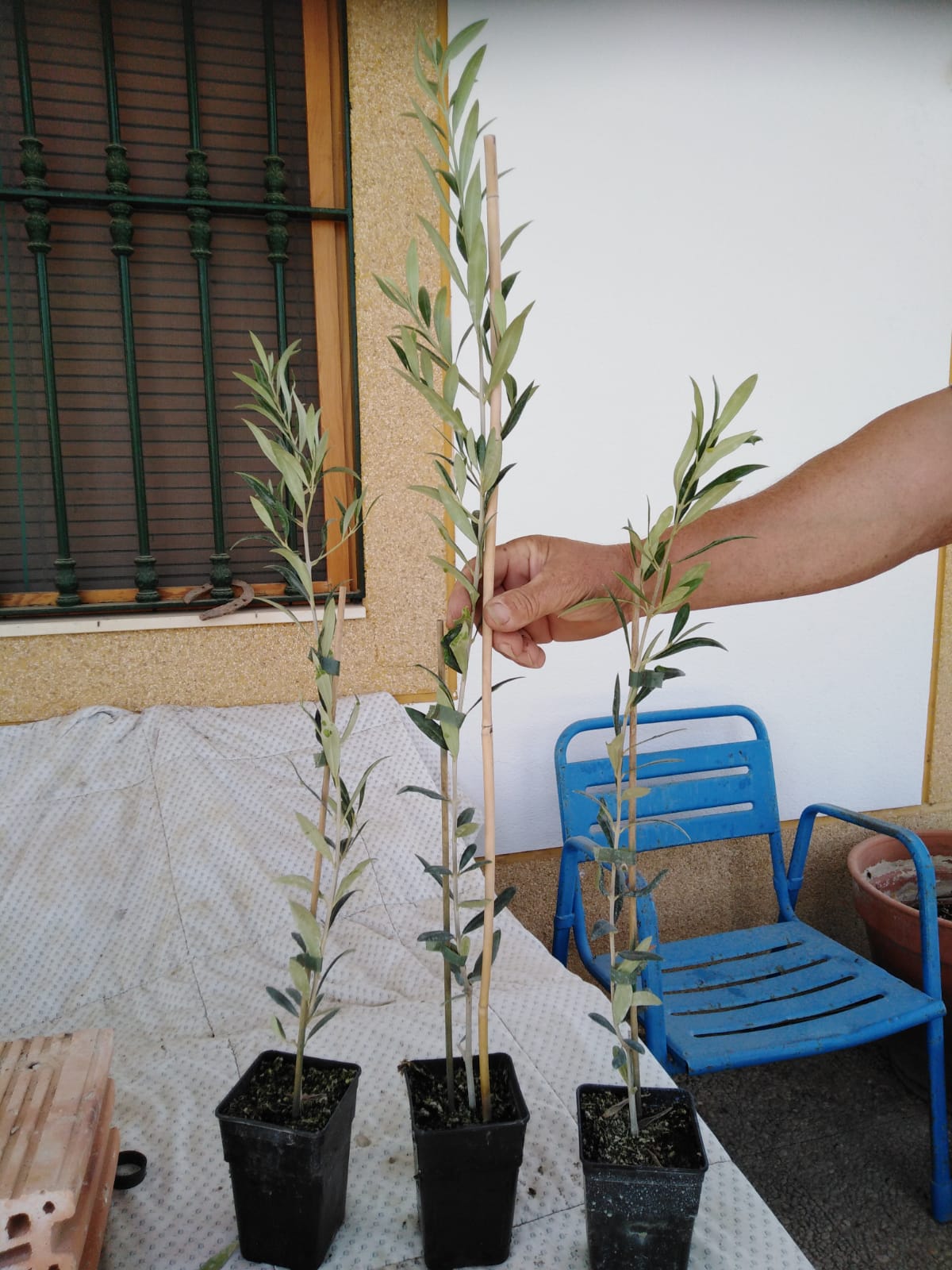 IMG-20191018-WA0002.jpg