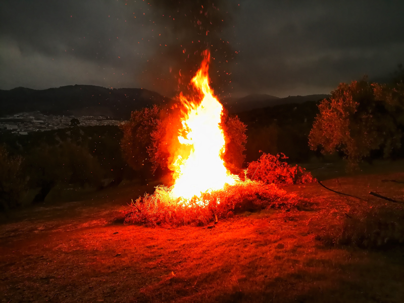 FUEGO-MOD-02.jpg