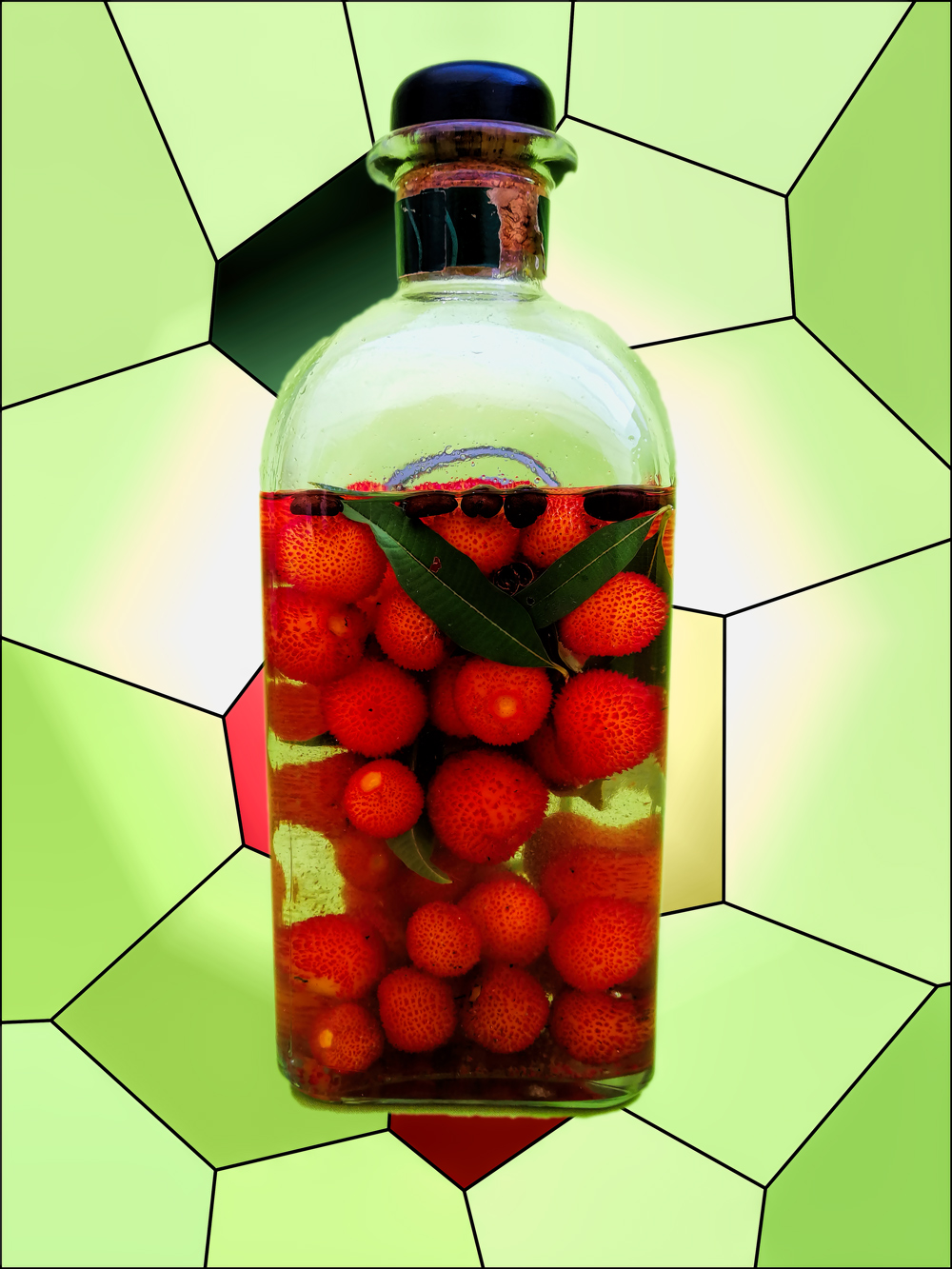 LICOR-MOD-01.jpg