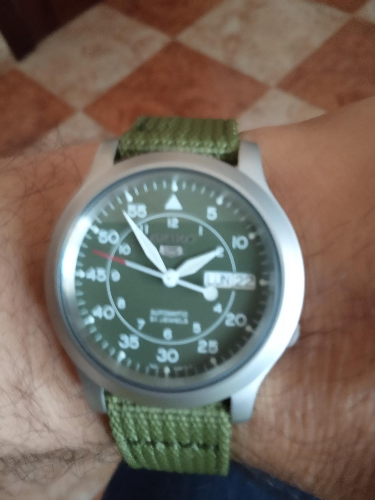 Seikocelia2.jpg