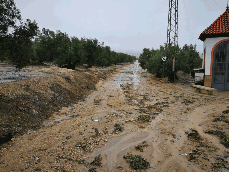 AGUA-02.gif