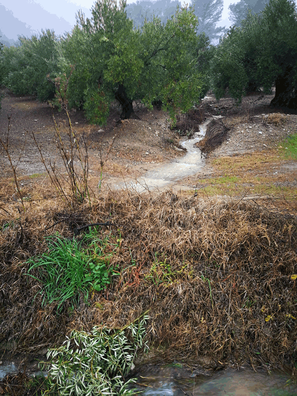 AGUA-01.gif