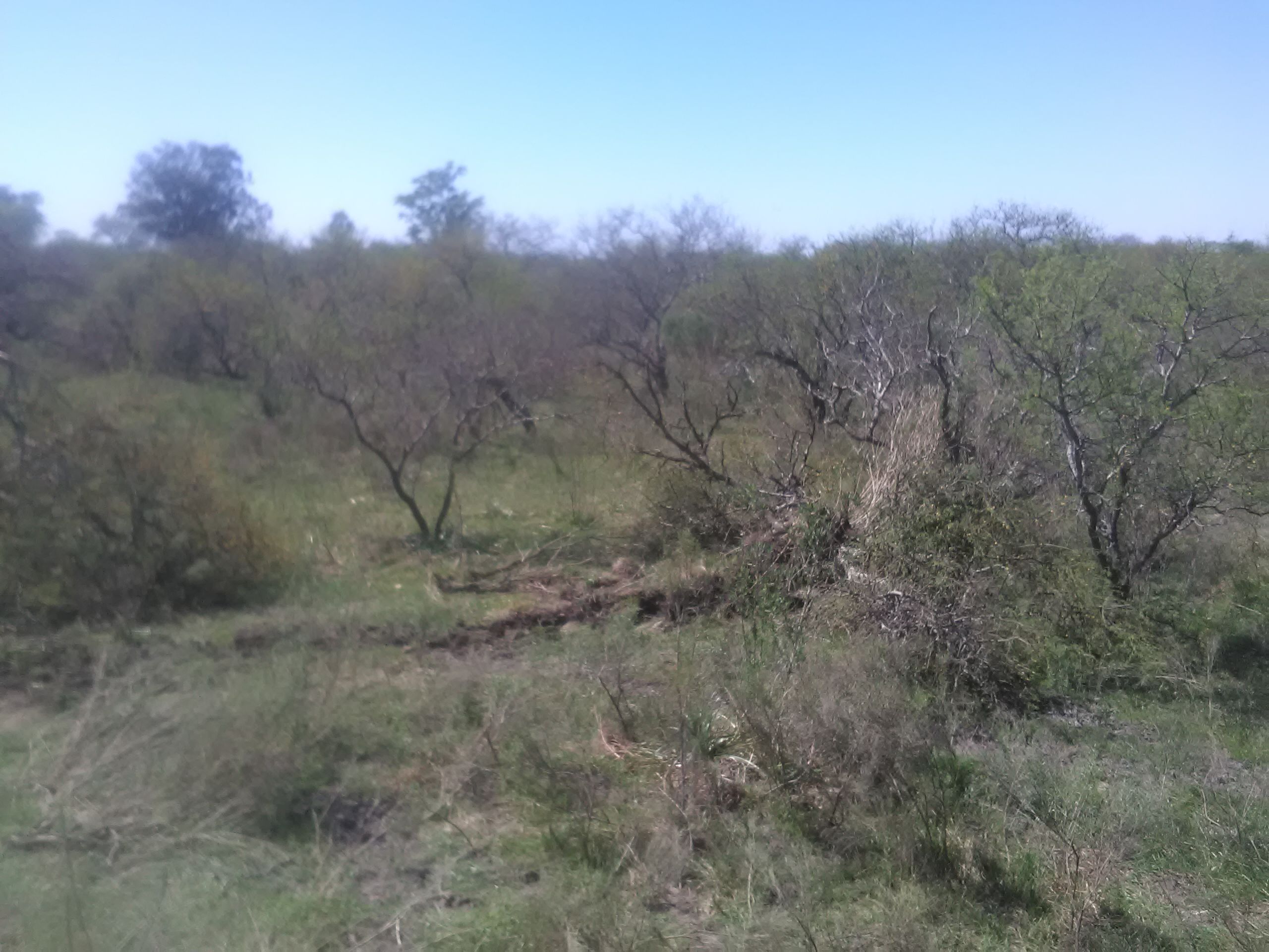 IMG-20190925-WA0001.jpeg