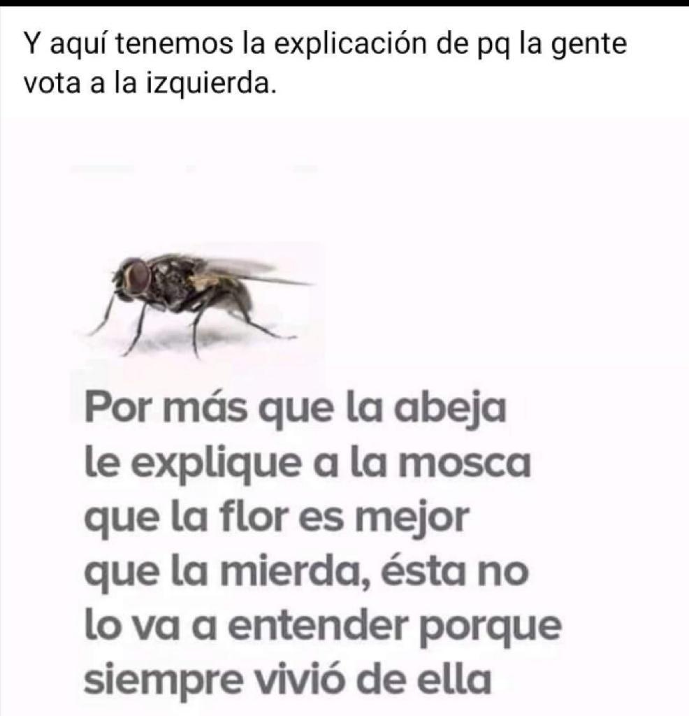 6B464354-872E-4291-A0D9-A5134D5AEC90.jpeg