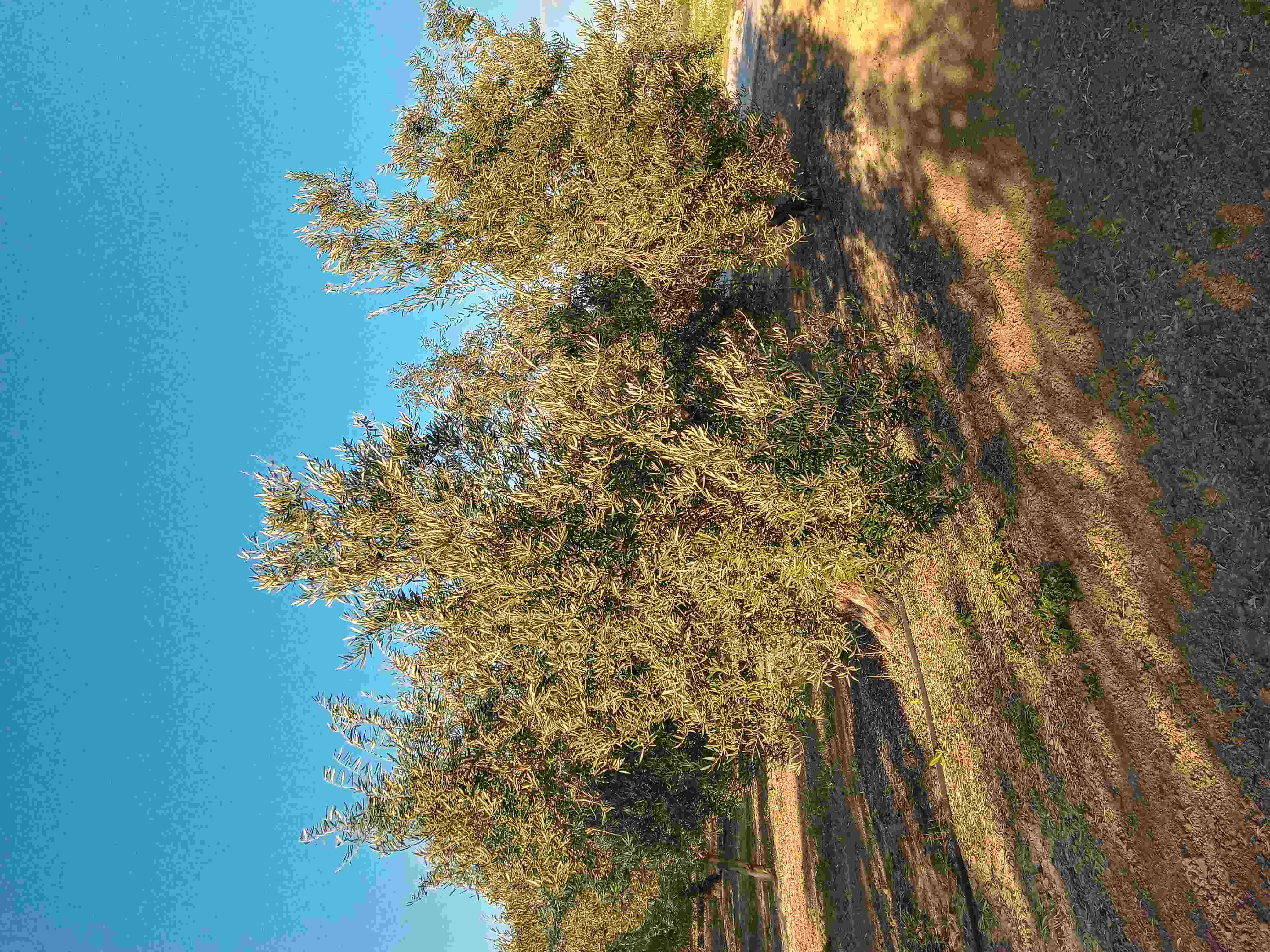 20200213_172641_HDR_compress38.jpg
