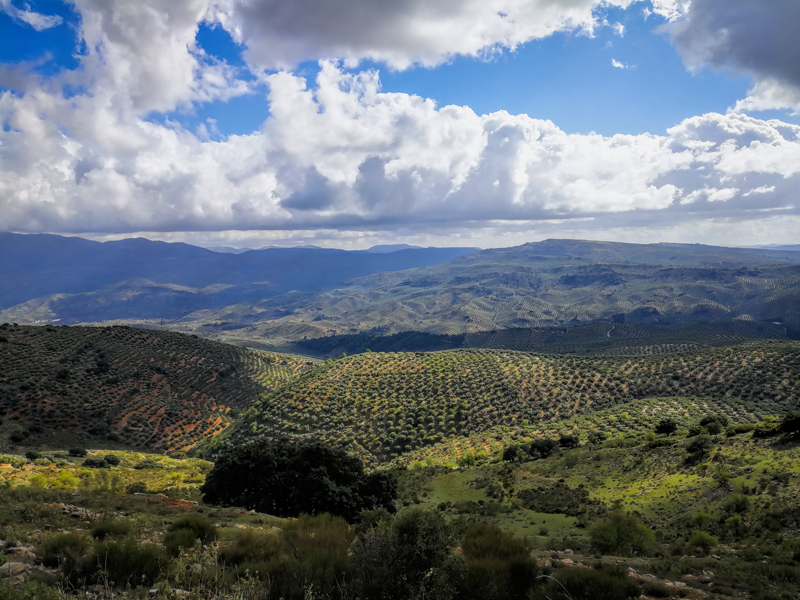 PAISAJE-02.jpg