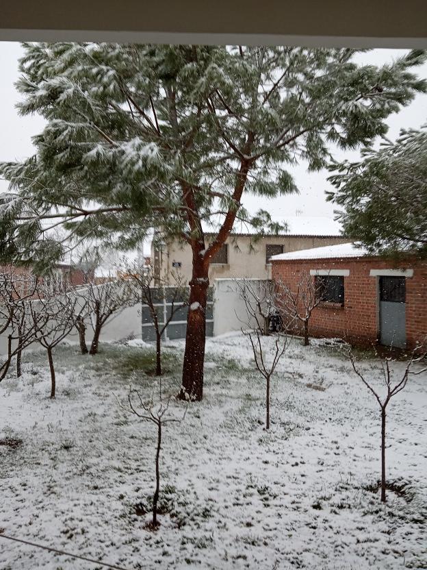 amanece nevando