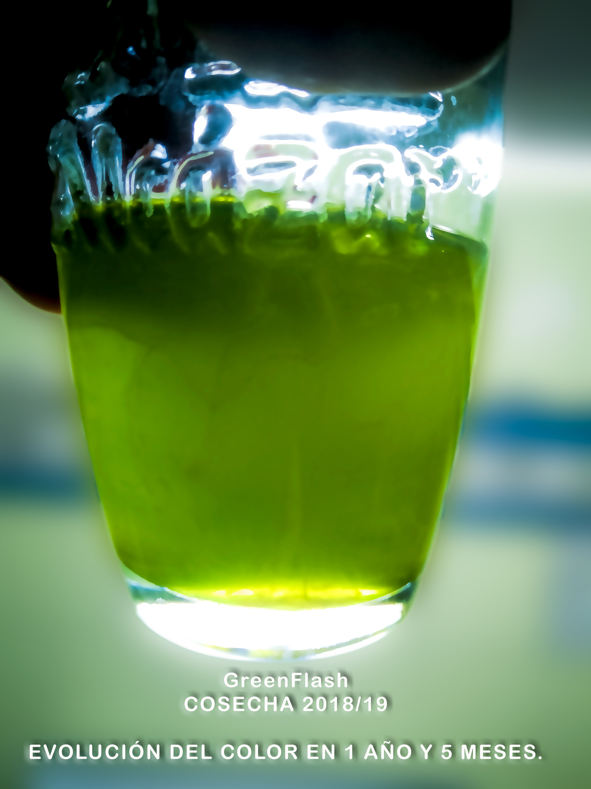 aceitemod-02.jpg