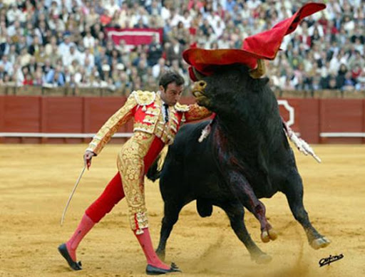 carlonso.jpg