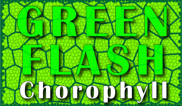 cloropastium.png