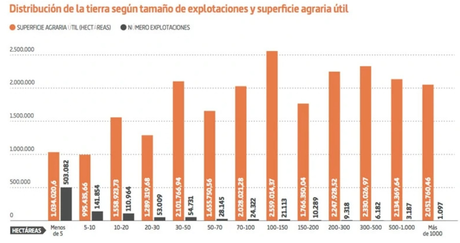GRAFICO04.jpg