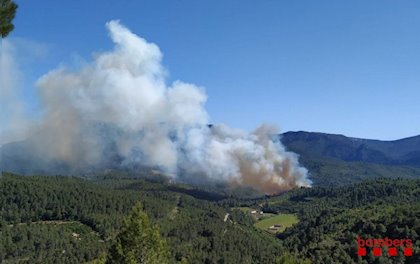 fuego.jpg