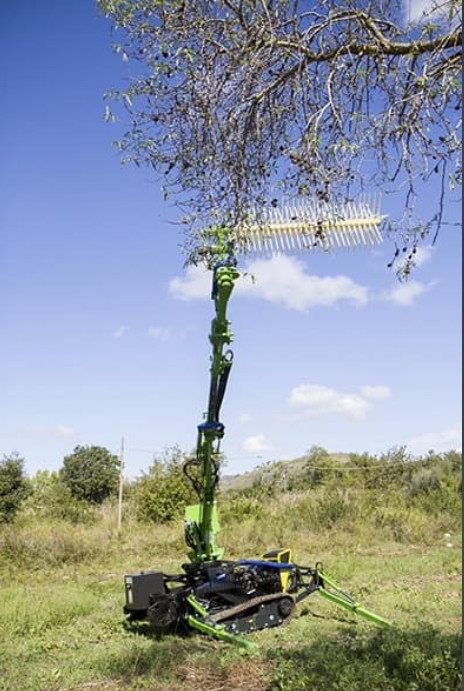ROBOGREENRECOLECTOR02.jpg
