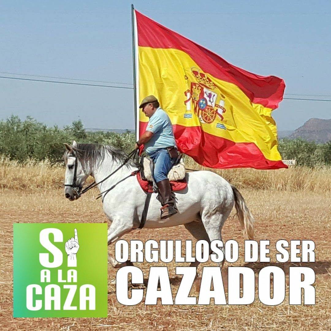 FELGUERA2.jpg
