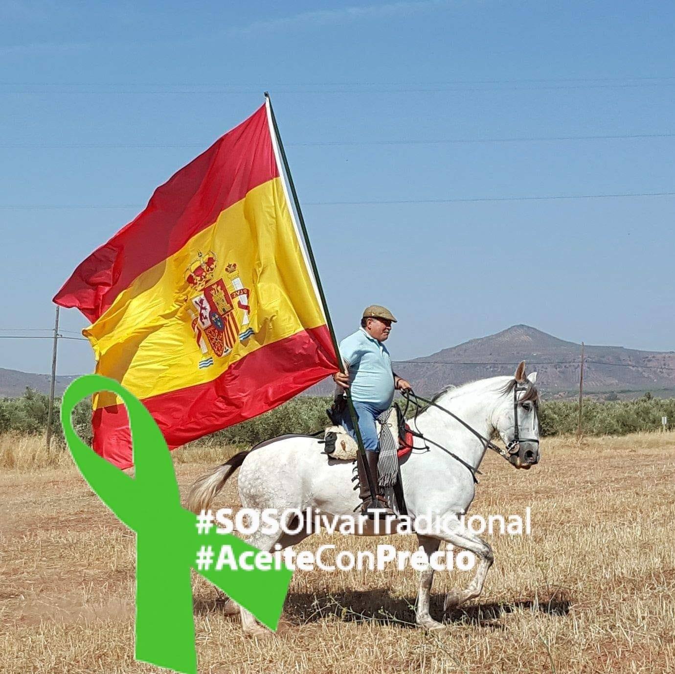 FELGUERA1.jpg
