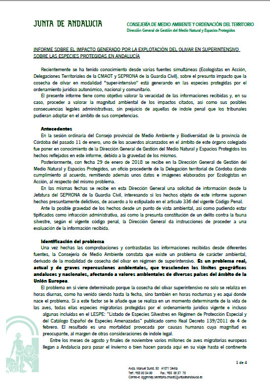INFORMEJUNTAANDALUCIA.jpg