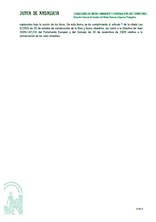 INFORMEJUNTAANDALUCIA04.jpg