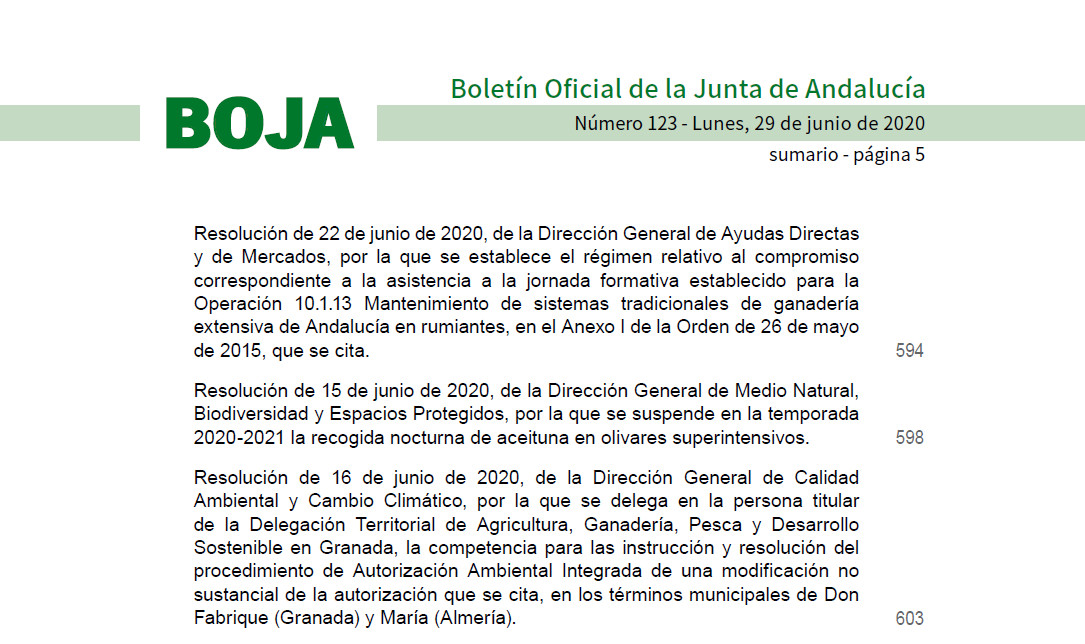 INFORMEJUNTAANDALUCIA06BOJA.jpg