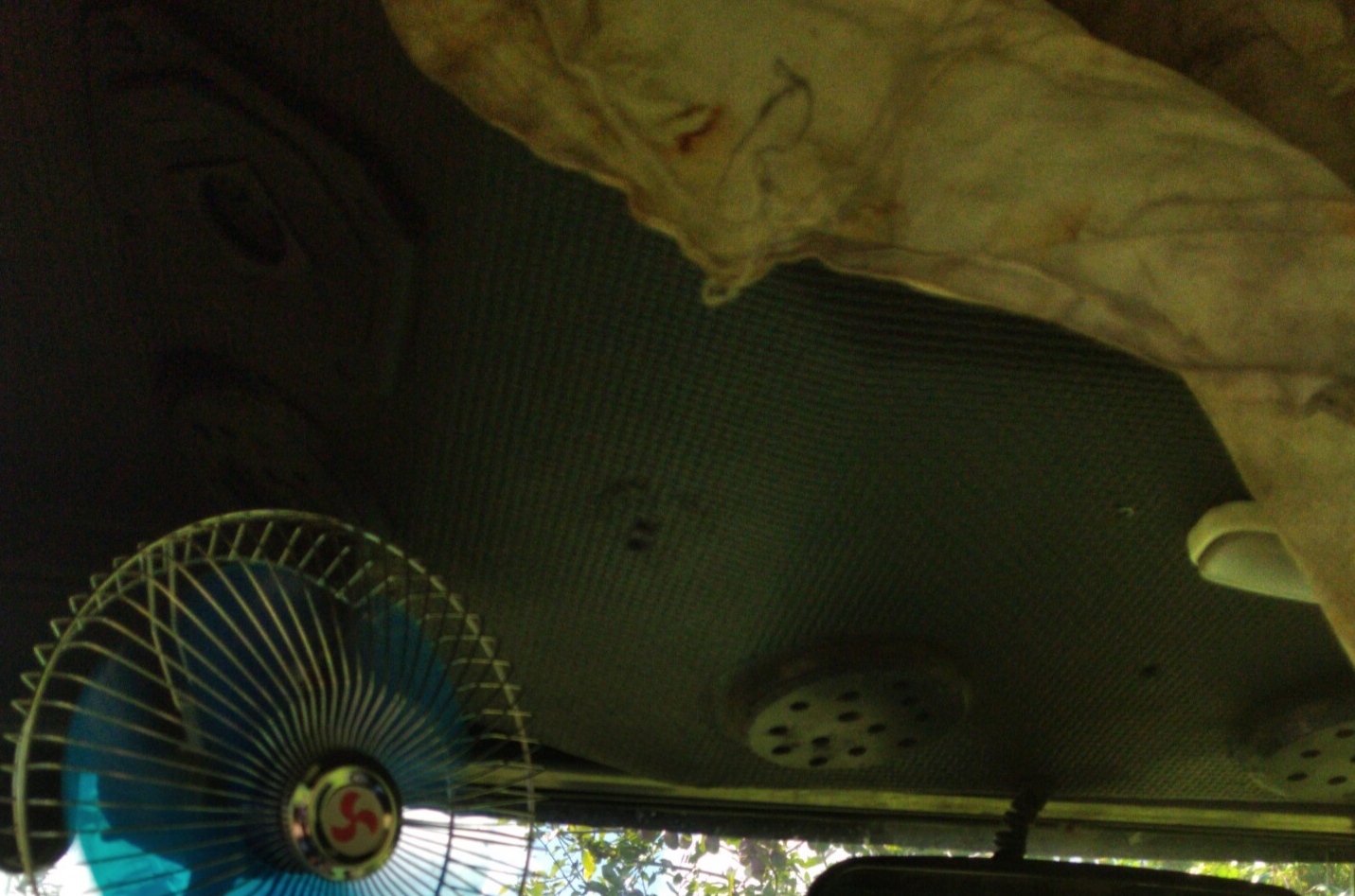 IMG_20200703_112734.jpg