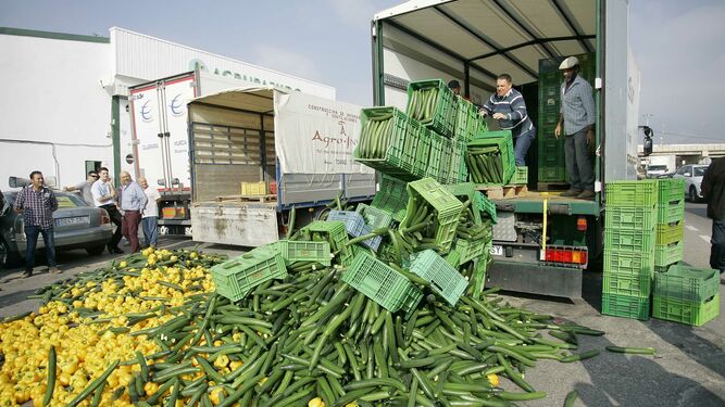 AGRICULTORESTIRANPEPINOS.jpg