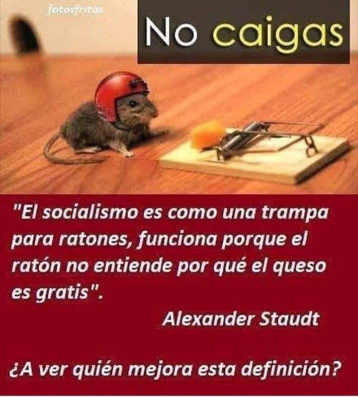 El socialismo