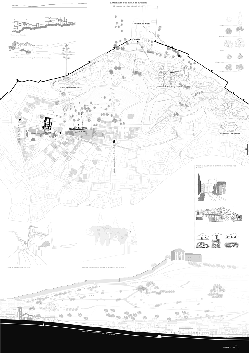 MARINA-02.jpg