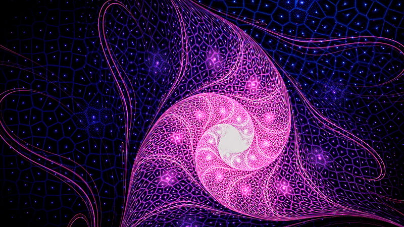 CARACOLA-MORADA-MOD.jpg