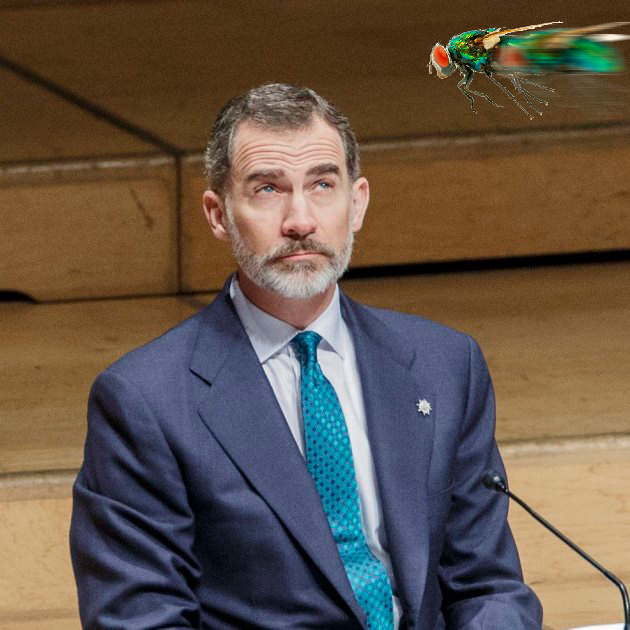 FELIPE-VI-MOSCA.jpg