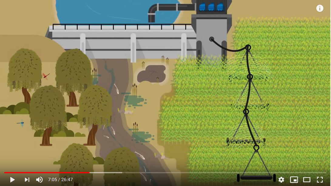 BIODIVERSIDAD2.jpg