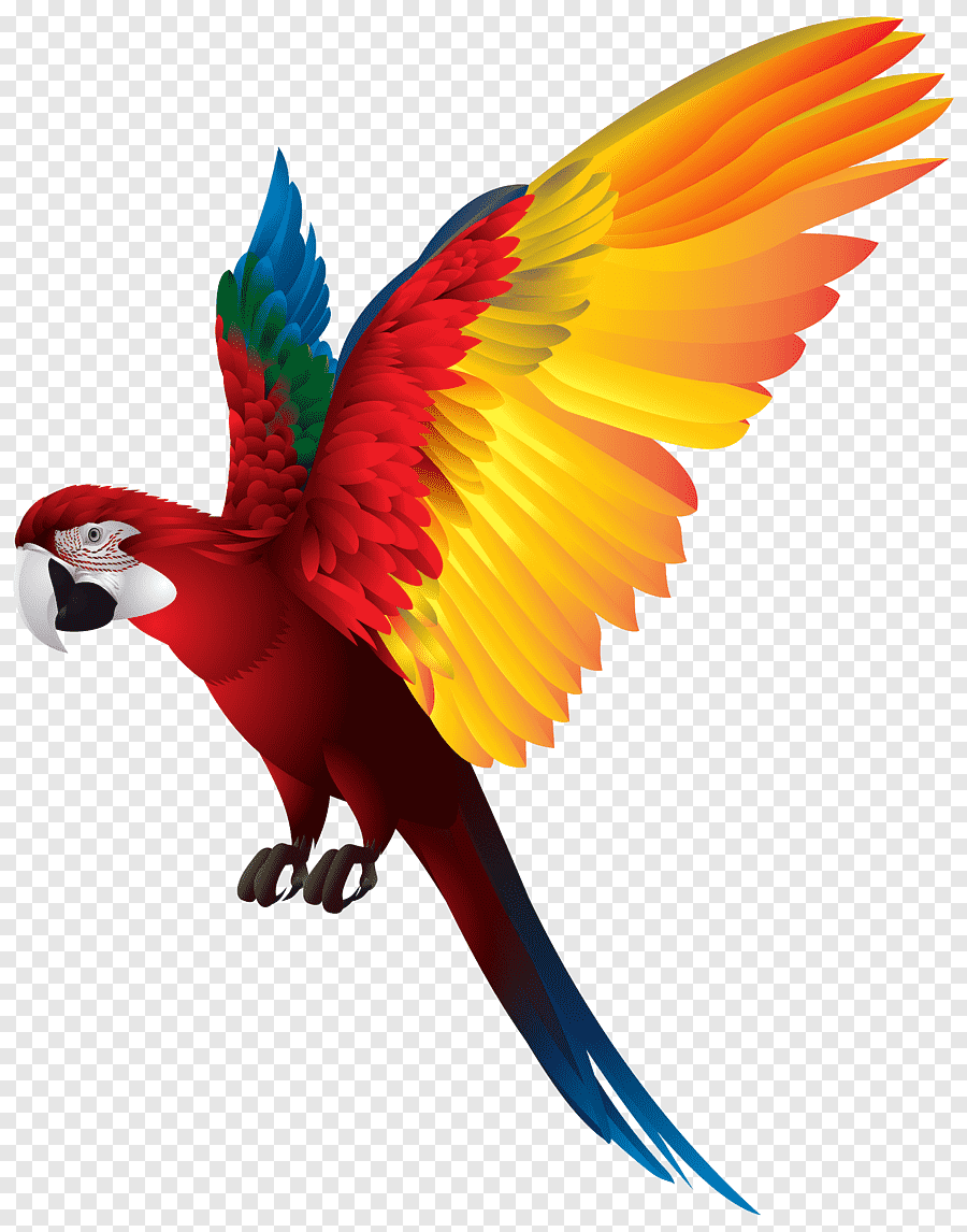 LORO1.png
