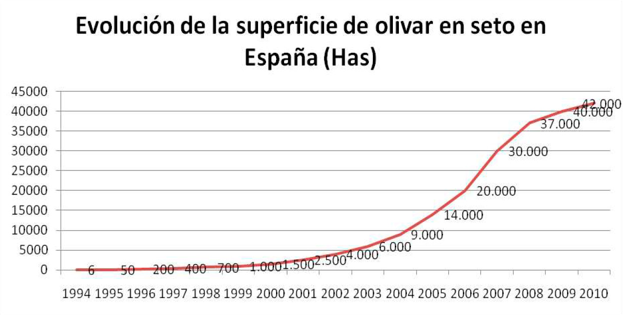 evolucionseto1.jpg
