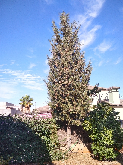 IMG_20200930_171051.jpg