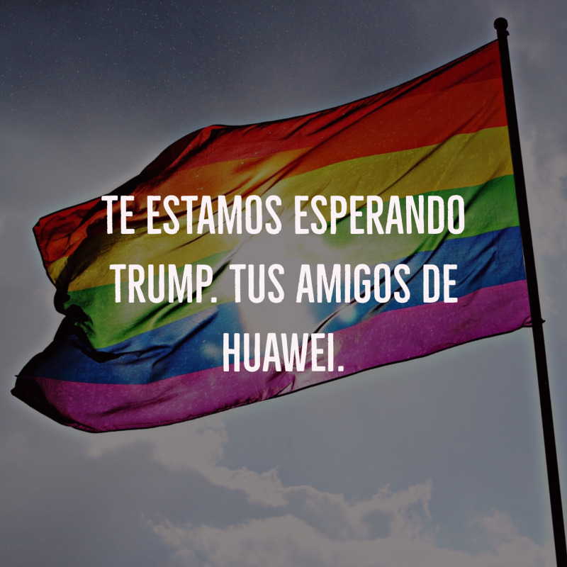 Mipublicacion4.jpg