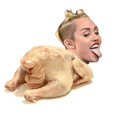 POLLO.gif