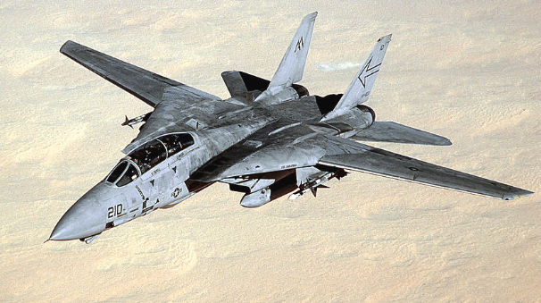 F-14 TOMCAT.png