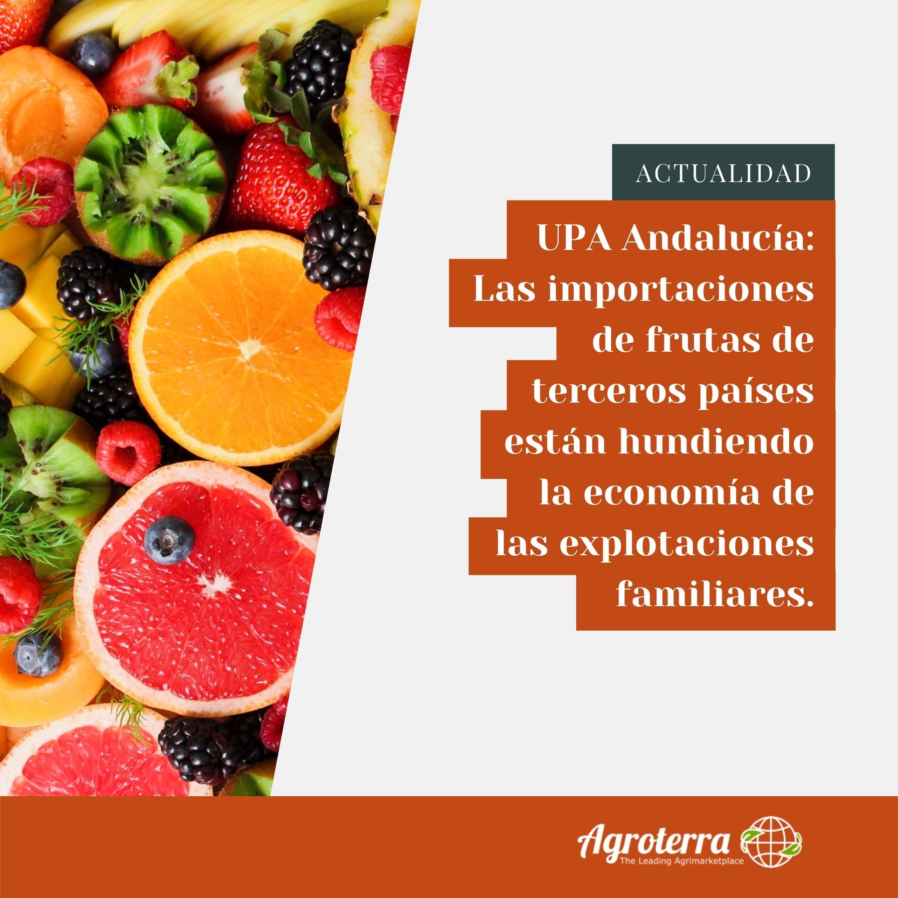 Plantillas NOTICIAS.jpg