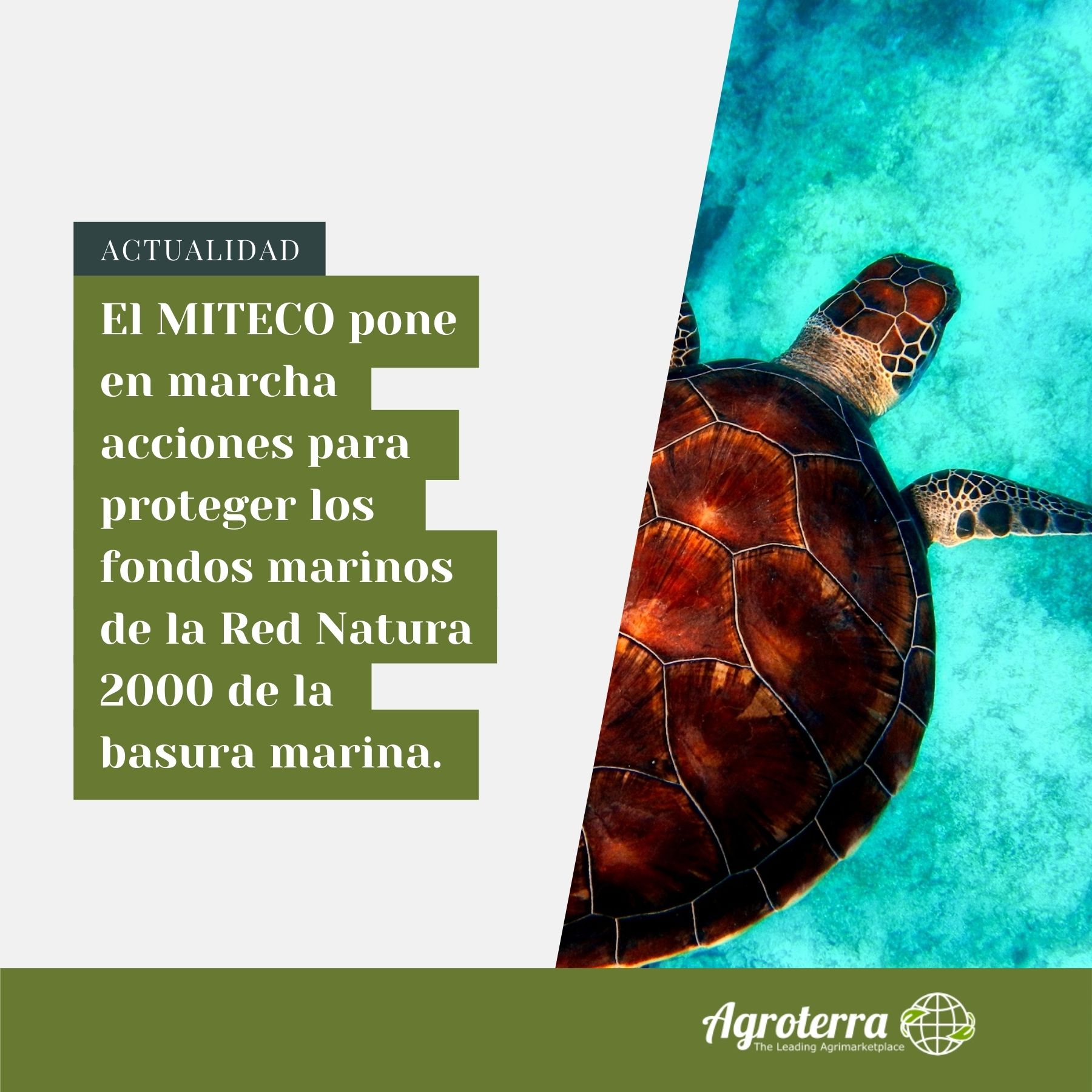 Plantillas NOTICIAS.jpg