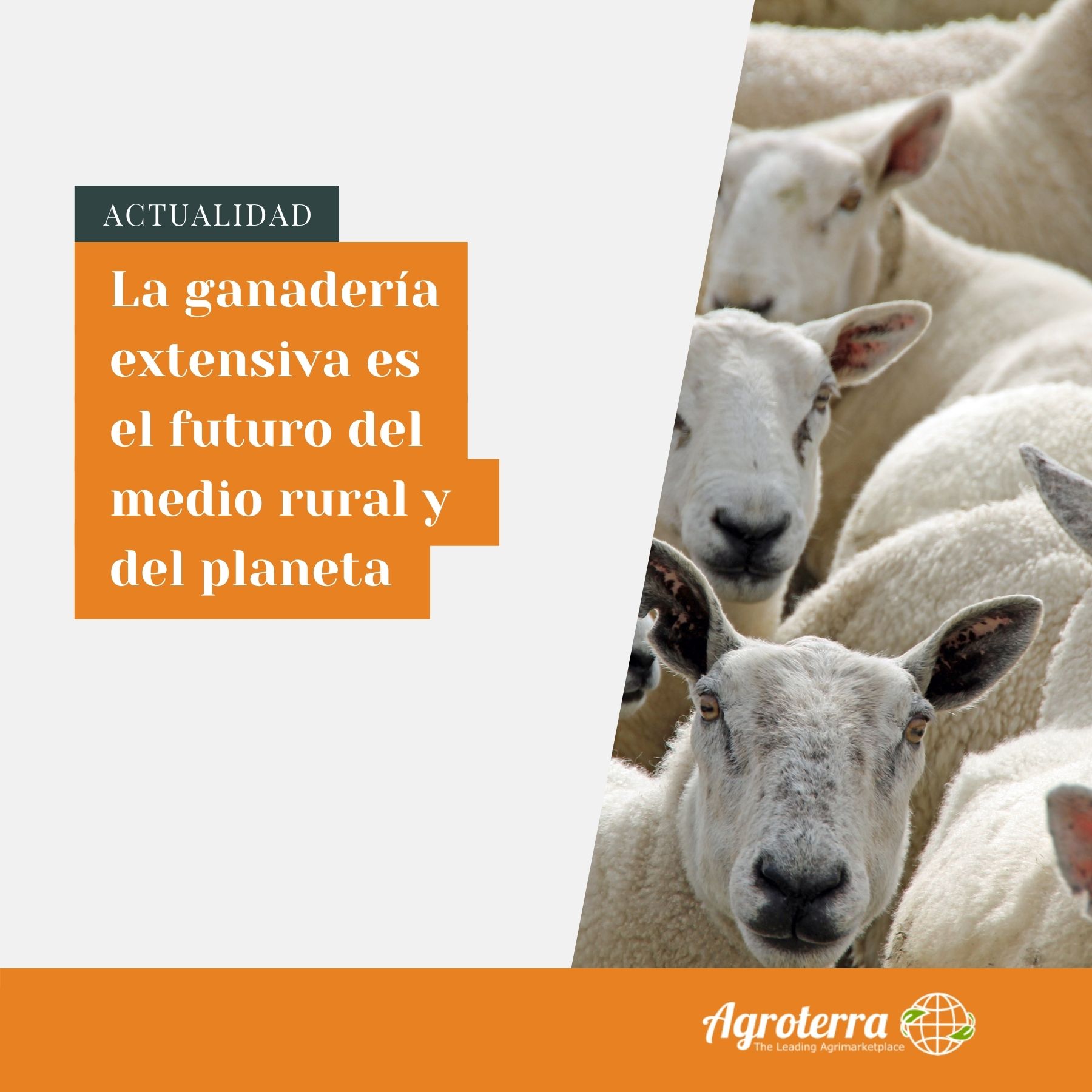 Plantillas NOTICIAS.jpg