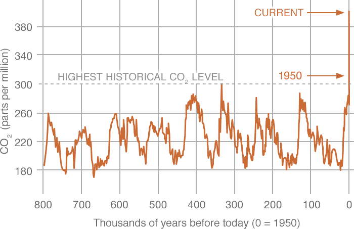 los-niveles-actuales-de-co2-los-mas-altos-en-23-millones-de-anos-257621-1_1024.png
