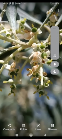 Screenshot_2023-05-05-15-09-02-862_com.google.android.apps.photos_resized(1).jpg