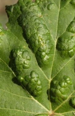 DCIM_20240418.png