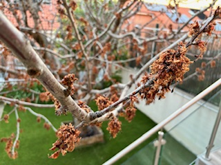 IMG_0644.jpeg