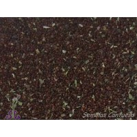 Foto de Semillas Oregano Verde Origanum Virens