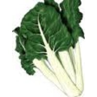 Foto de Semillas. Acelga Verde Penca Larga Blanca. 10 Gramos. 