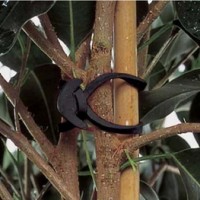 Foto de Goma Ancla Nº 5. Goma Elástica de Anclaje de Ramas, Tallos, Parrales