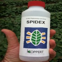Foto de Spidex Phytoseiulus Persimilis 10000