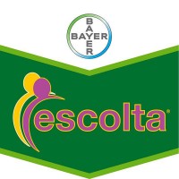 Foto de Escolta, Fungicida Bayer